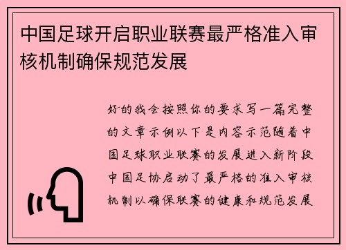 中国足球开启职业联赛最严格准入审核机制确保规范发展